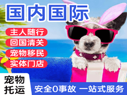 常州机场物流国际宠物托运 【国